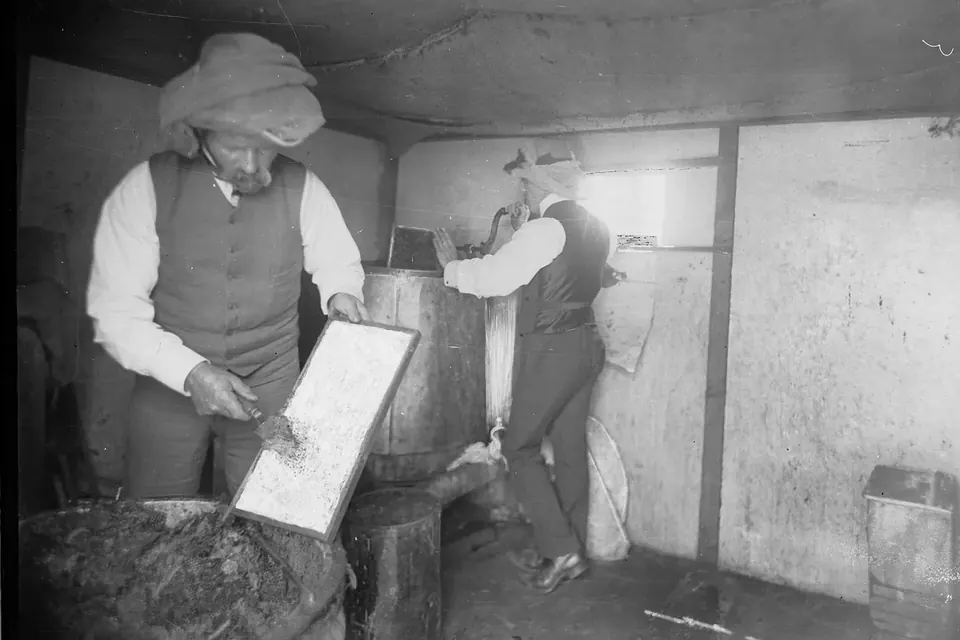 Photographie ancienne en noir et blanc : deux apiculteurs en chapeau examinent des rayons sortis des ruches dans un local