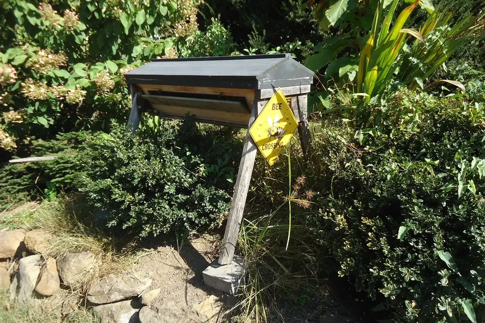 Une ruche sur un support de bois au milieu d'un jardin fleuri