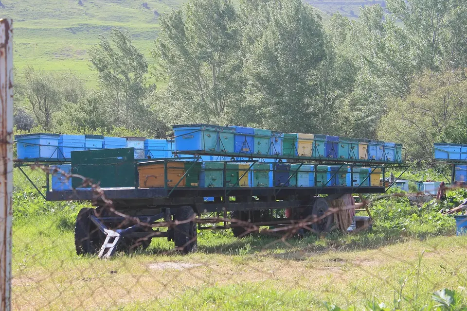 Une remorque chargée de ruches peintes en bleu et en vert stationnée au bord d'un pré, devant des arbres et des collines